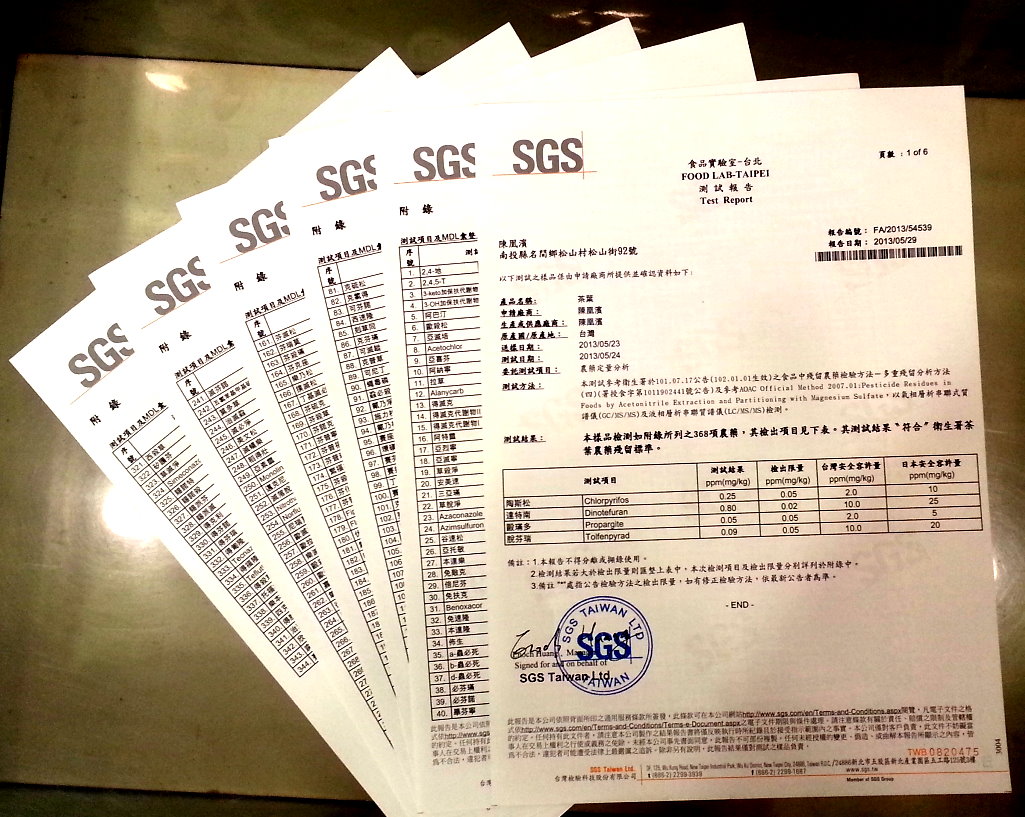 sgs20130529